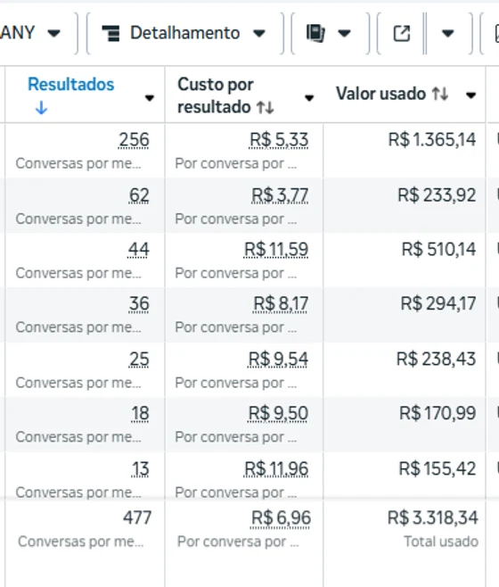 Painel de resultados de campanha de tráfego pago no segmento de clínica de estética · rj